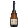 espumante-salton-prosecco-750ml